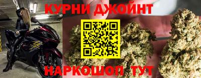 стафф Донской
