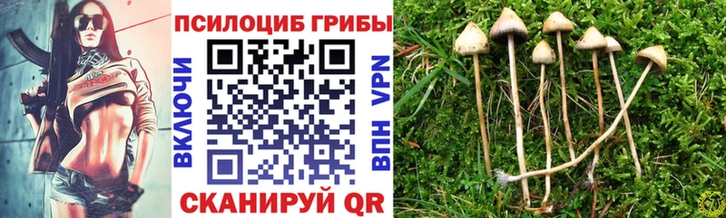 МЕГА сайт где найти Мичуринск Галлюциногенные грибы прущие грибы
